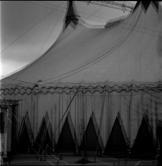 ¨Freaks¨ nº 21