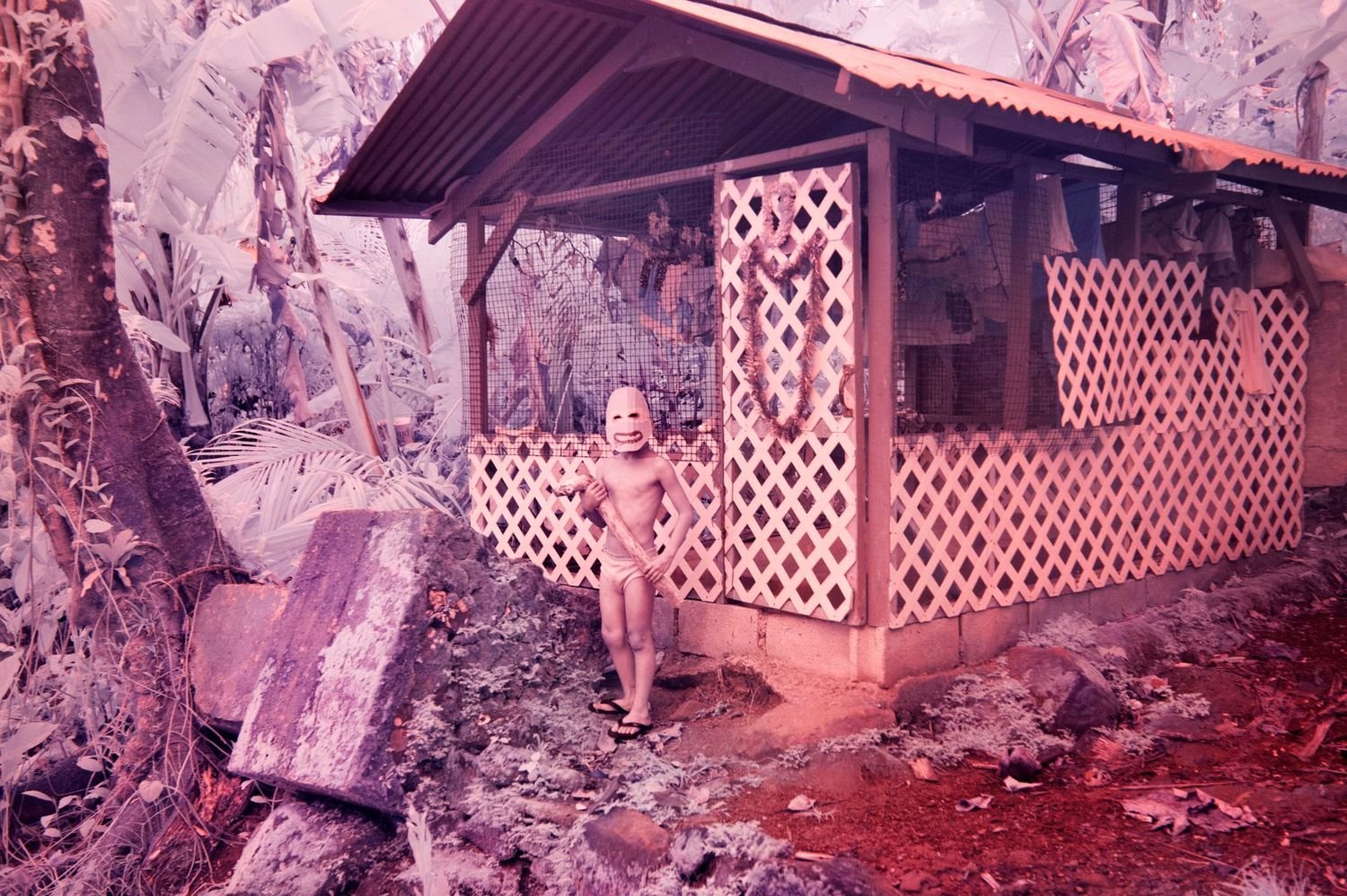 Visiting “The Island of the Colorblind” - Video interview with