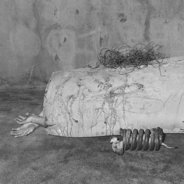 Apprehended, 2005 © Roger Ballen