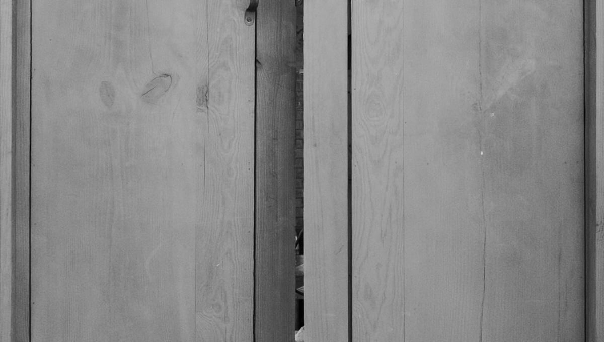 The Curious Guest at the Gate