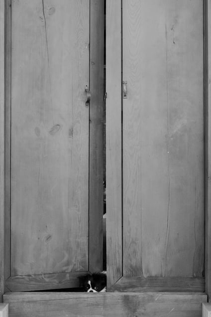 The Curious Guest at the Gate