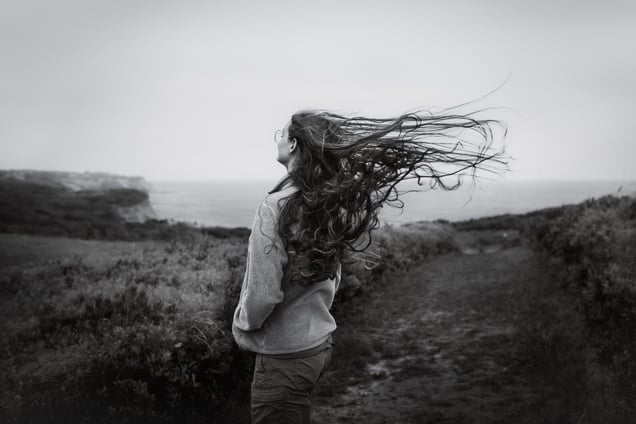 Windy Conditions