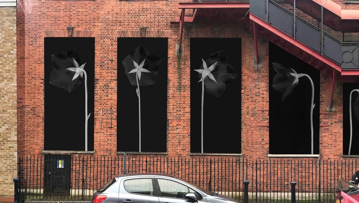 Chisenhale, London  | Banners over boarded windows.  Proposal 2025