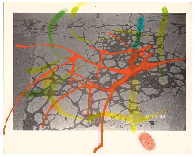 From the photobook, Hibi