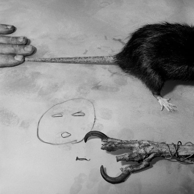 Predators, 2007 © Roger Ballen