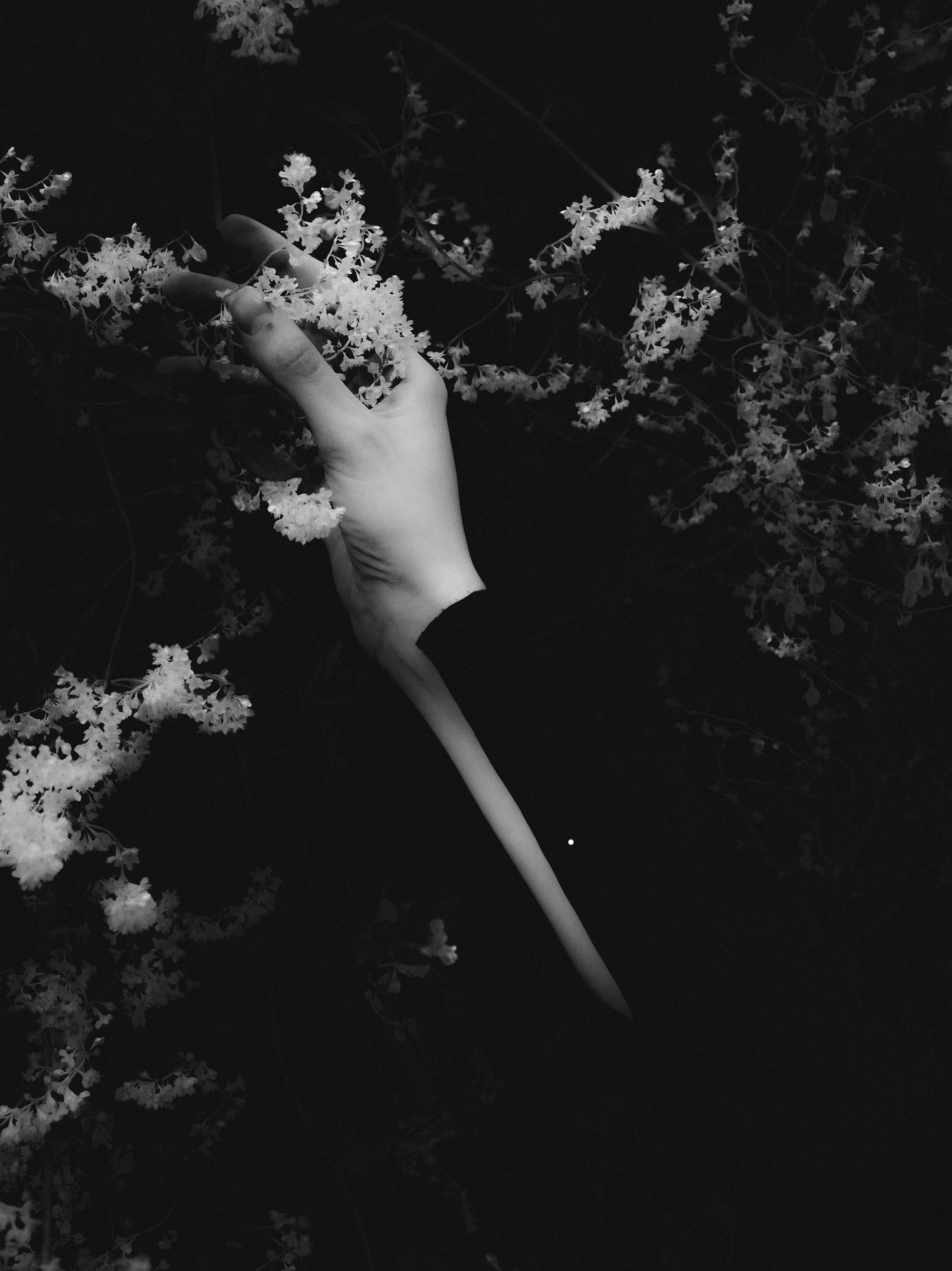 The Absence Of Something 