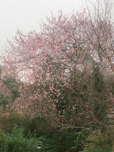 For Now and For Later