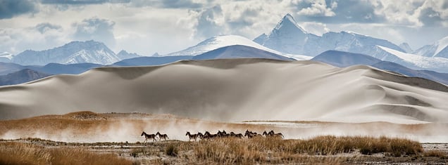 Paryang Tibet