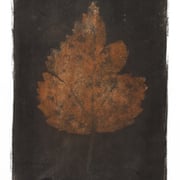 Per Talleraas