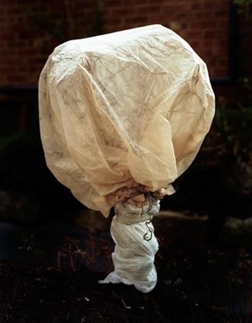 From the series Covered, 2009 © Peter Ainsworth