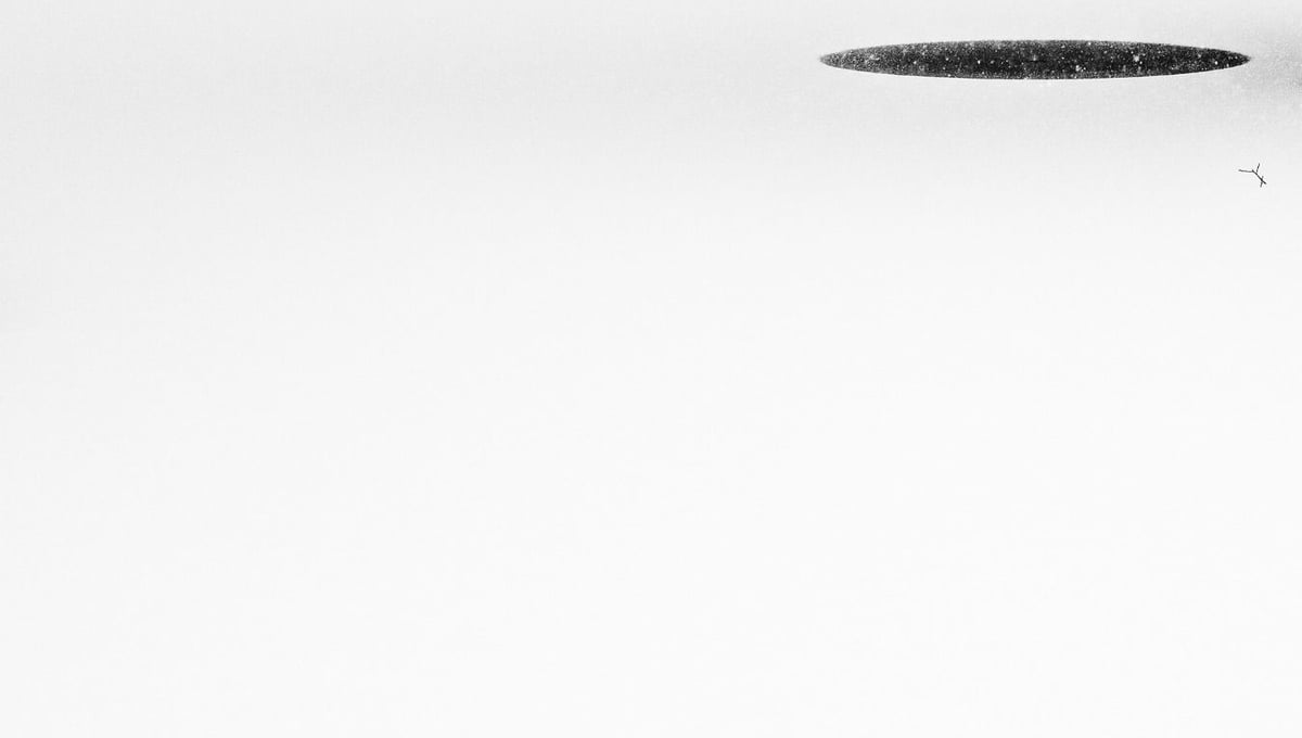 Tension in Black I ©Jungho Jung