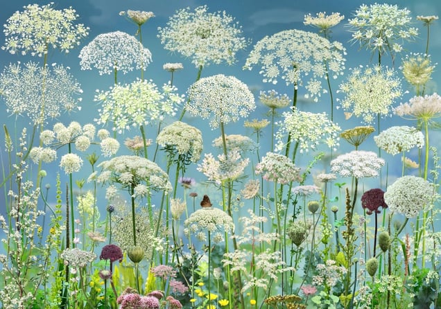 © Ruud van Empel, Floresta 14, 2024. Courtesy of CAMERA WORK Gallery