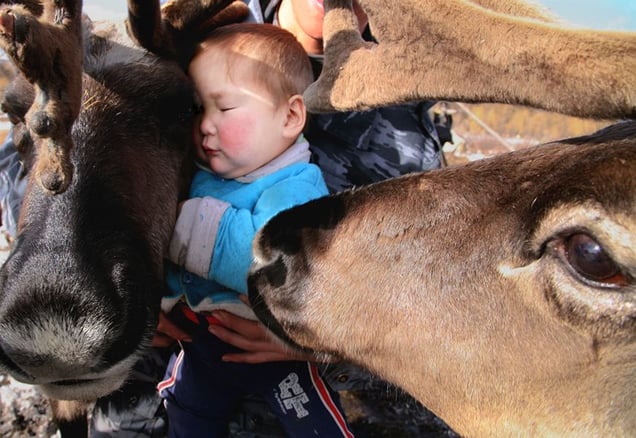 Tuka and his reindeer. Topolinoe. November, 2007 © Evgenia Arbugaeva