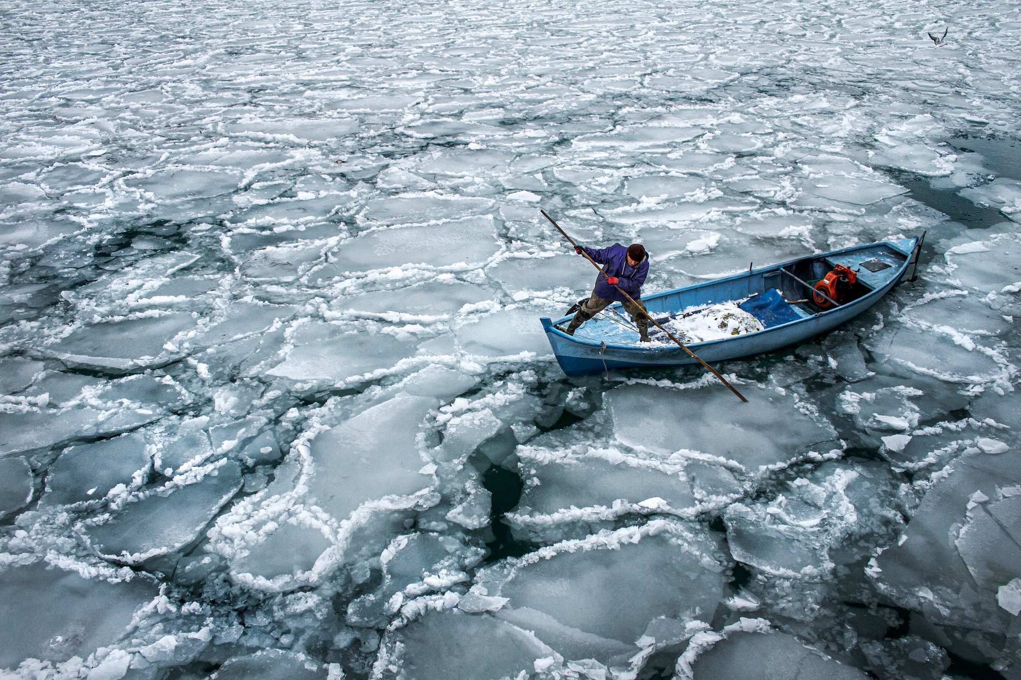 winner of photography awards