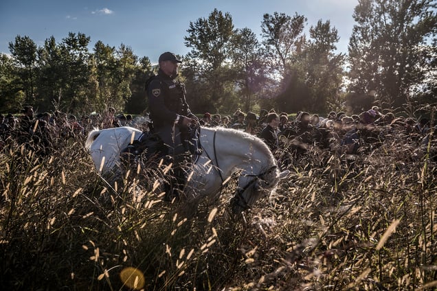 A Slovenian police officer escorts migrants that have crossed from Croatia. Dobova, Slovenia, 20 October 2015.
