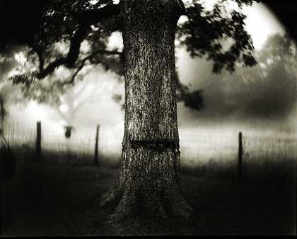 Sally Mann Speaks
