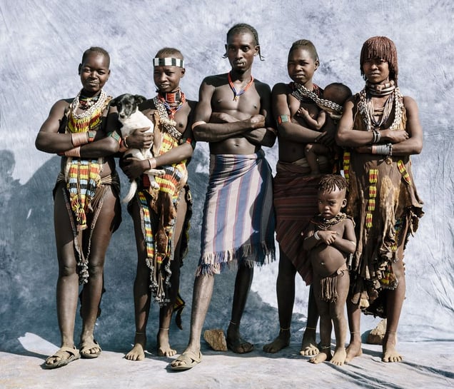 Hamar Family  Fig. II