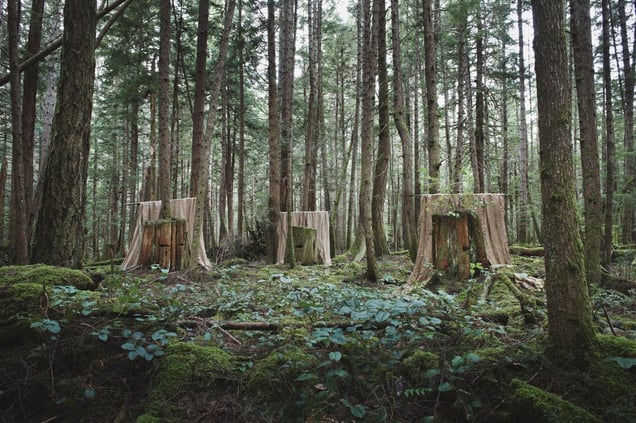 Installation 6, Untitled