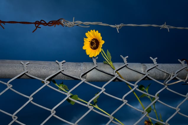 Coexist... As Best One Can