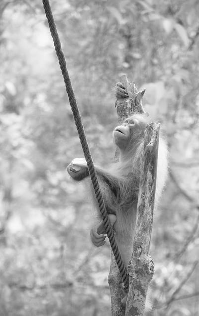 skywards   © Darren Nisbett