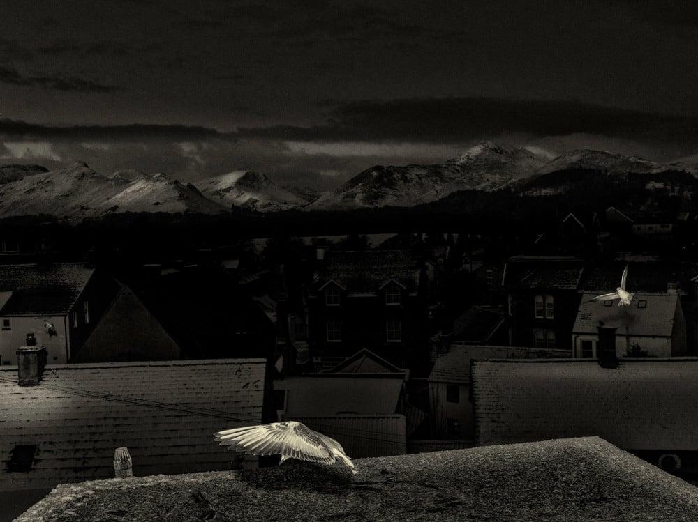Back to the things themselves, an existential reading of landscape.
