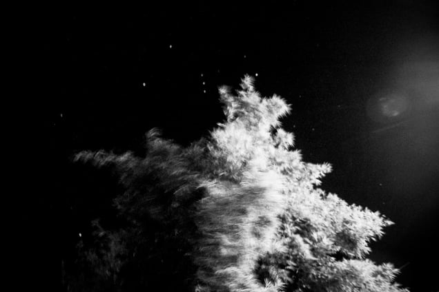 Inside My Head- Aji Susanto Anom - Siem Reap 2015