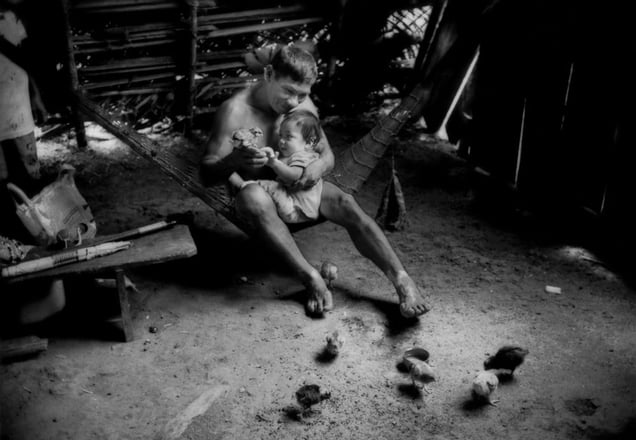 Consommation Eco-Systeme © James Withlow Delano