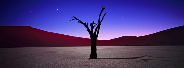 Namibia Death Vlei