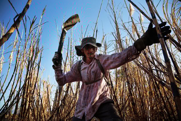 Fatal CKDnT and Agricultural Workers