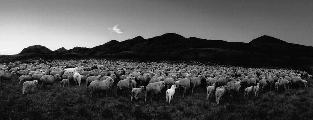 Here Far Away - Photographs by Pentti Sammallahti | LensCulture
