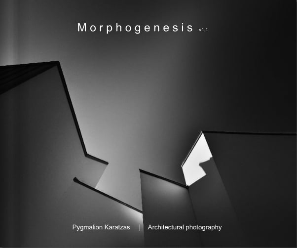 Morphogenesis Vol.1