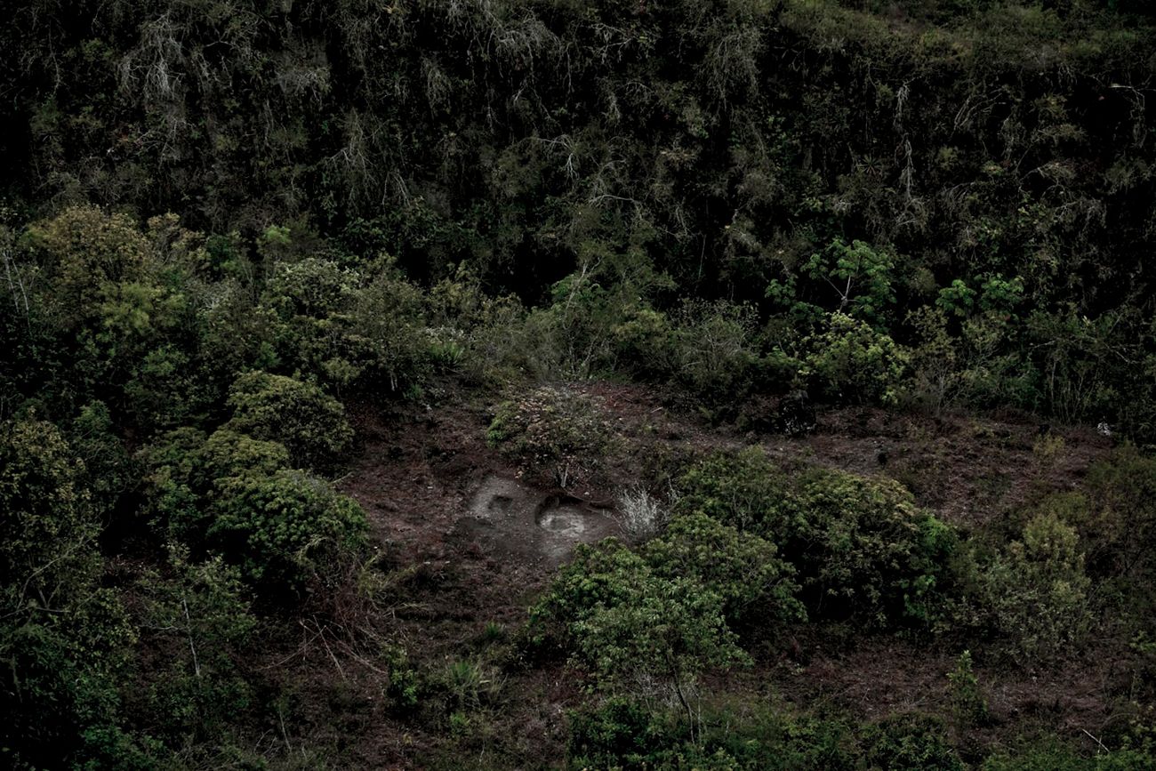Chungui, o el viaje al sureste del olvido