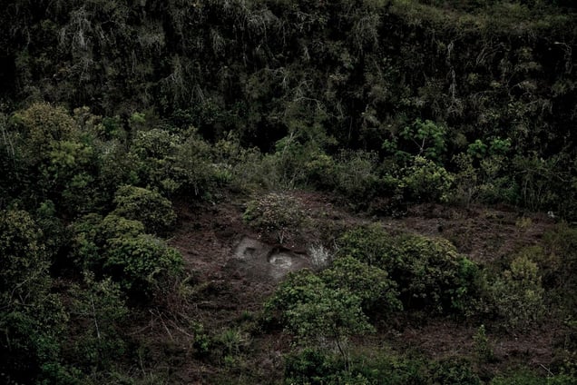 Chungui, o el viaje al sureste del olvido ©  Max Cabello Orcasitas