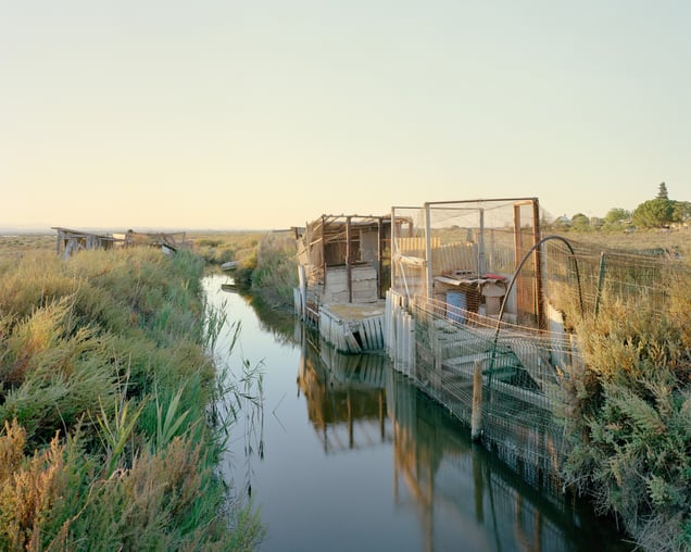 Canal de la Radelle - Marsillargues – Etang de l’or – 2022