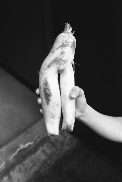 Two legged daikon