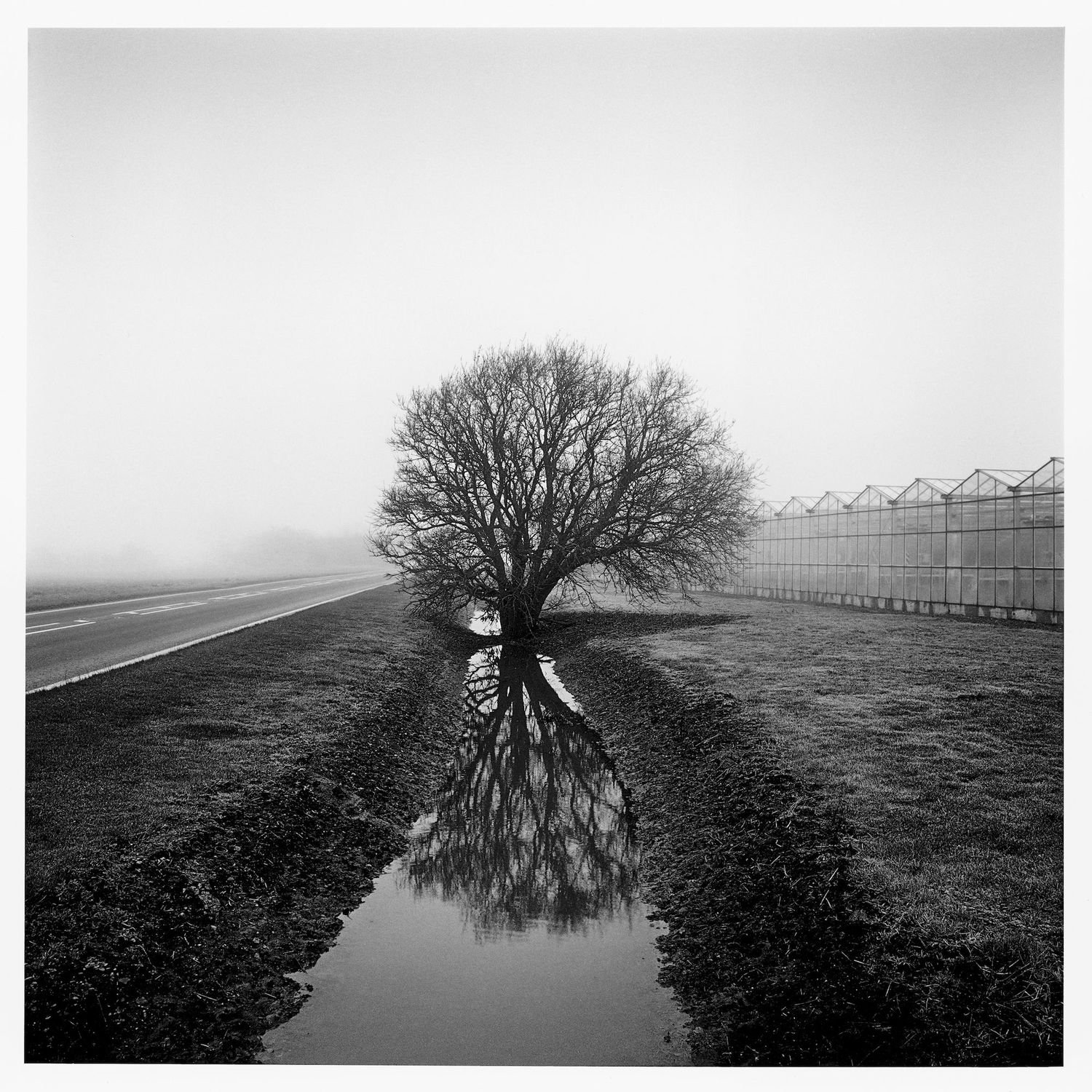 Farmed - Photographs by Paul Hart | LensCulture