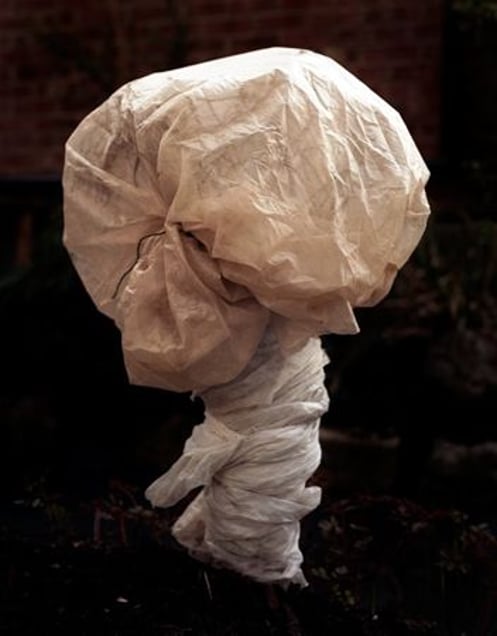 From the series Covered, 2009 © Peter Ainsworth