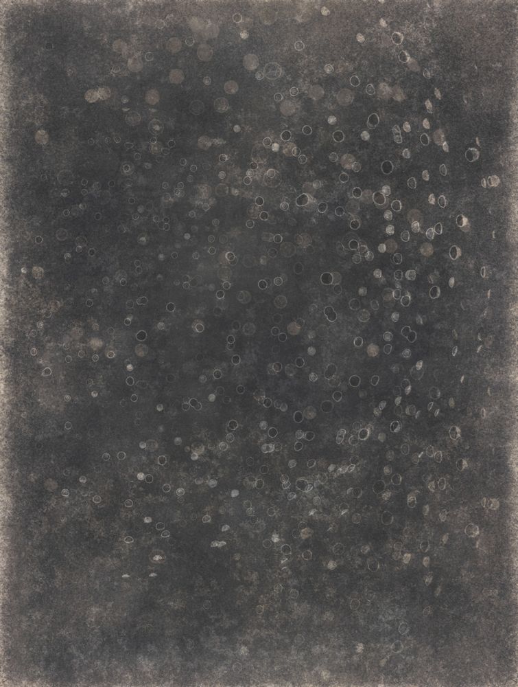 Portfolio Category - Portrait Awards 2014