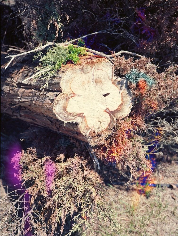 Let's Meet Up / Strange Paradise