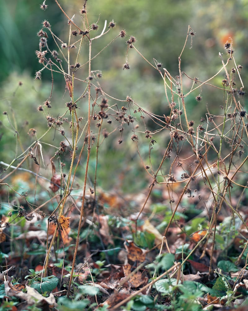 Another Way of Looking at Love