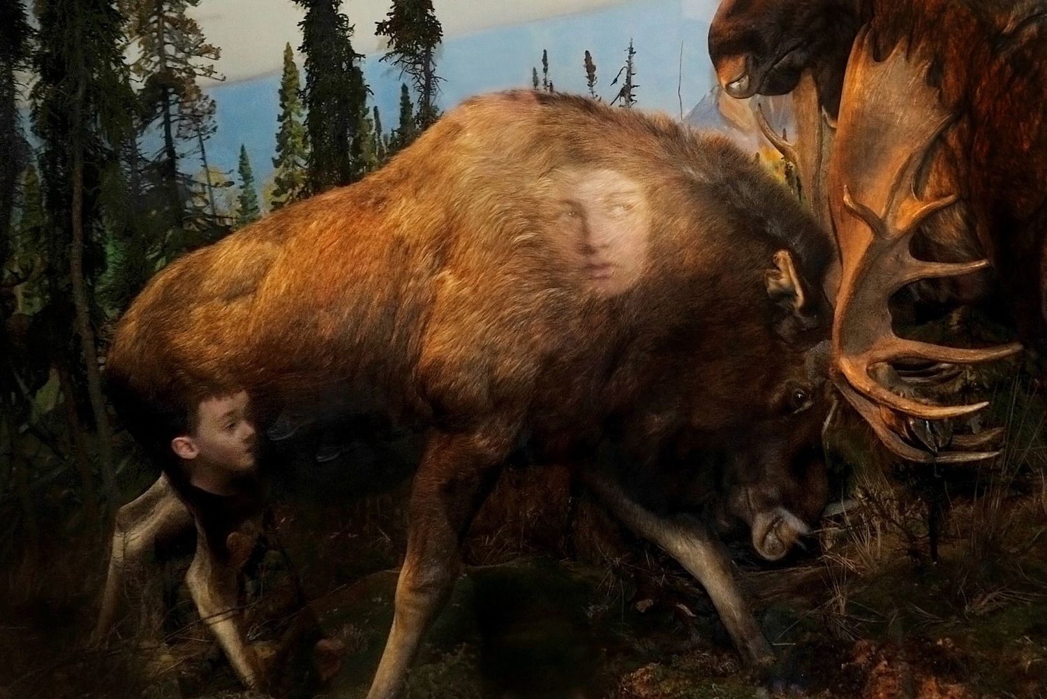 Natural History