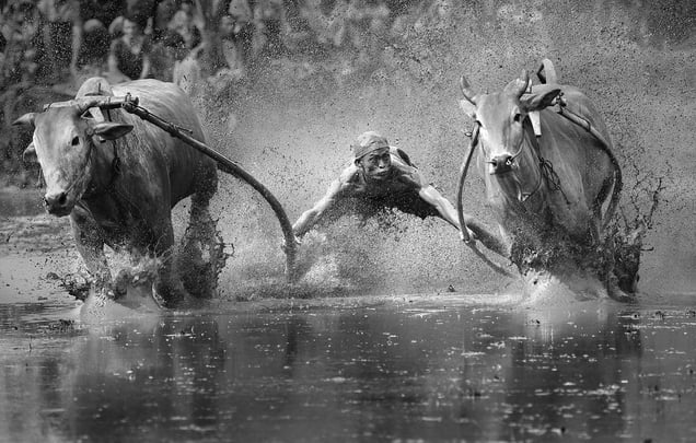 © Yong Sheng Zheng, China. Finalist, Sport, Professional Competition. 2014 Sony World Photography Awards