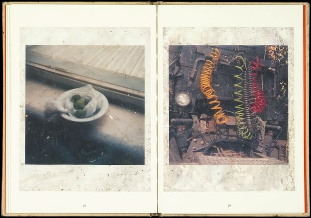 From  Buried, by Stephen Gill and Nobody Books © Stephen Gill