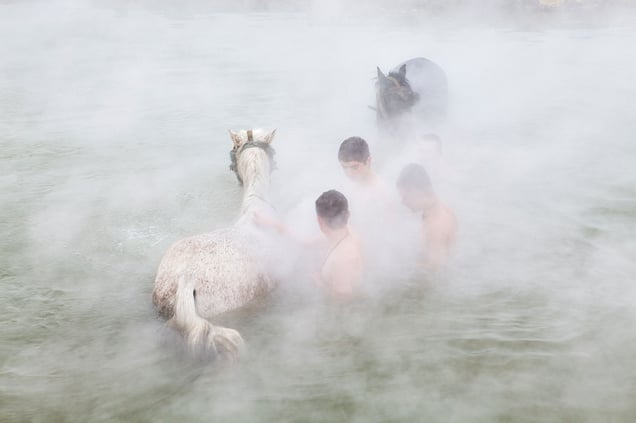 Lost in the Mist.