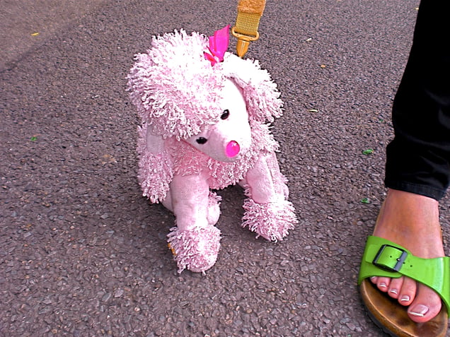 "Stuffed Animal Street" "Stofftierstraße"