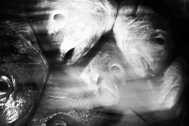 Recollecting Dream