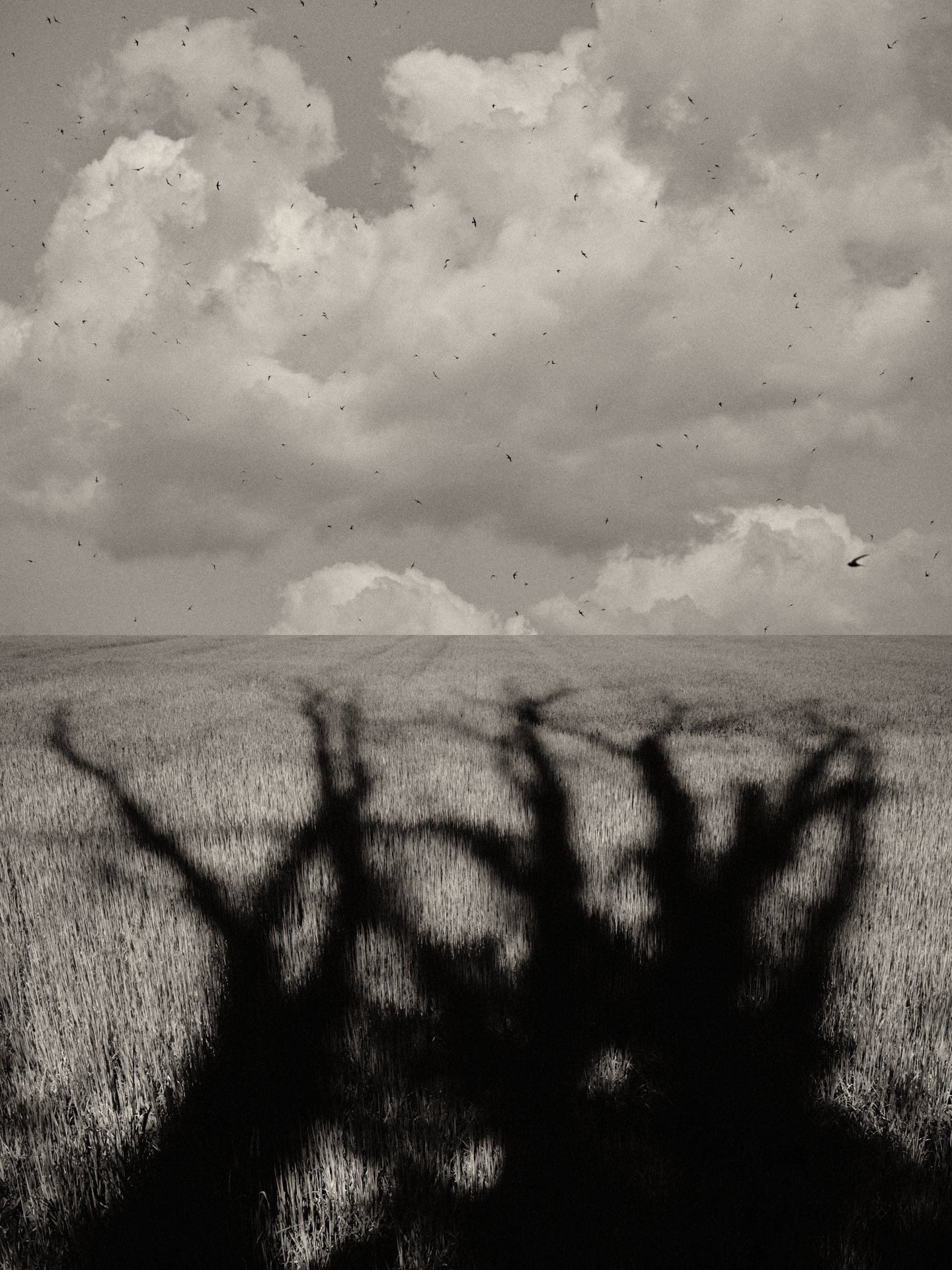 Gaia: New Diptychs