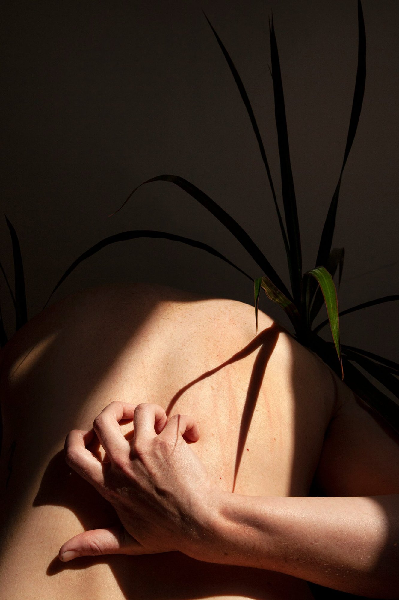Scratch at Keren’s © Jeanette Spicer