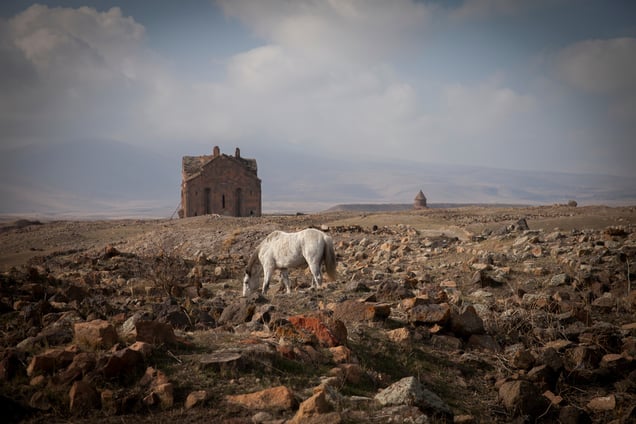 Ani, once the capital of Armenia, forms part of the current border between Turkey and Armenia. Once known as the city of 1,001 churches, Ani was abandoned after the genocide and now is populated only with the occasional presence of Turkish border guards.