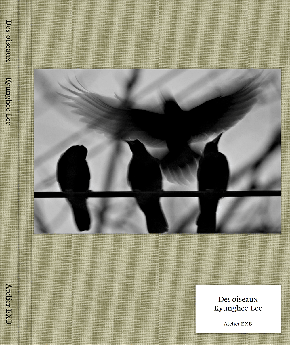 DES OISEAUX _KYUNGHEE LEE